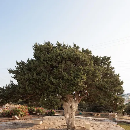 Aurea Blu 14 Relax Enjoy Dream Daire