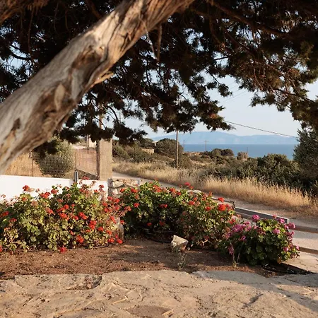 Daire Aurea Blu 14 Relax Enjoy Dream *