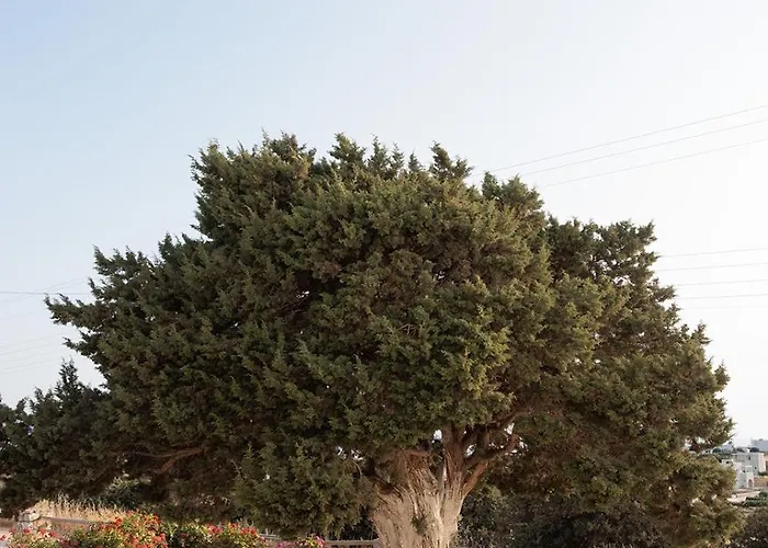 Aurea Blu 14 Relax Enjoy Dream Lägenhet